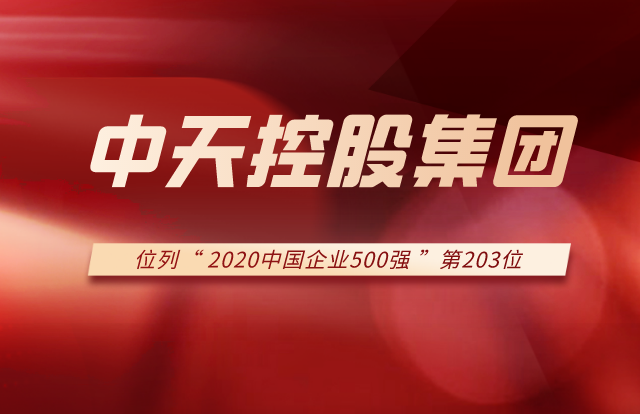 evo视讯集团列2020中国企业500强第203位！